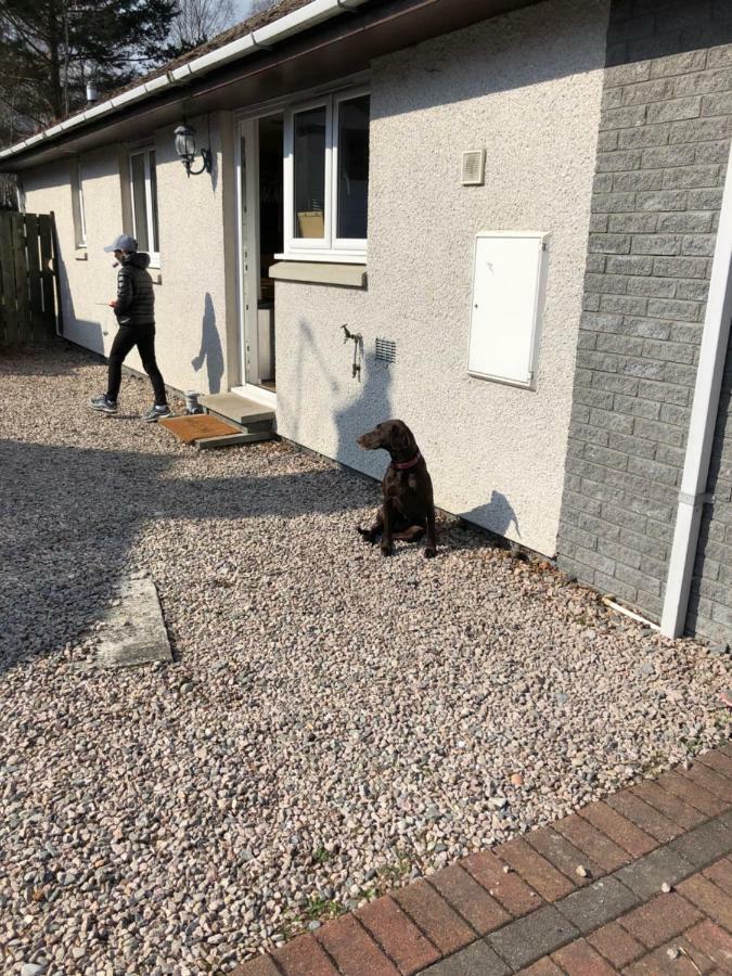 Linmore Aviemore Zewnętrze zdjęcie