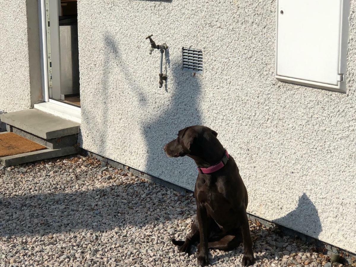 Linmore Aviemore Zewnętrze zdjęcie