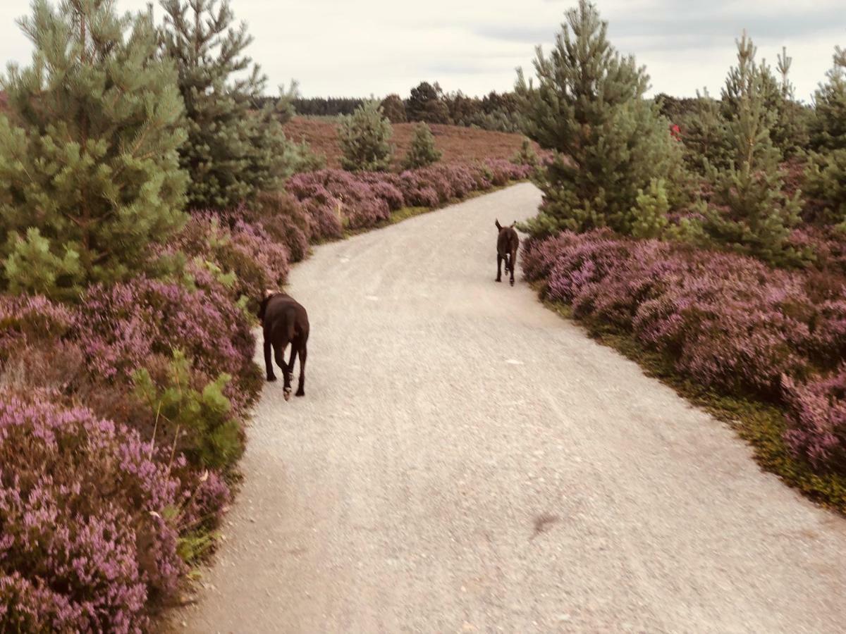 Linmore Aviemore Zewnętrze zdjęcie