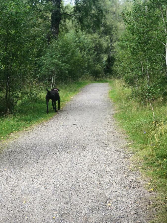 Linmore Aviemore Zewnętrze zdjęcie
